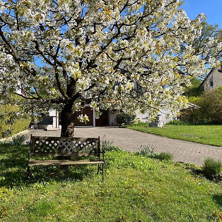 Uhldingen-Mühlhofen Ferienwohnung Am Kirschbaum מראה חיצוני תמונה