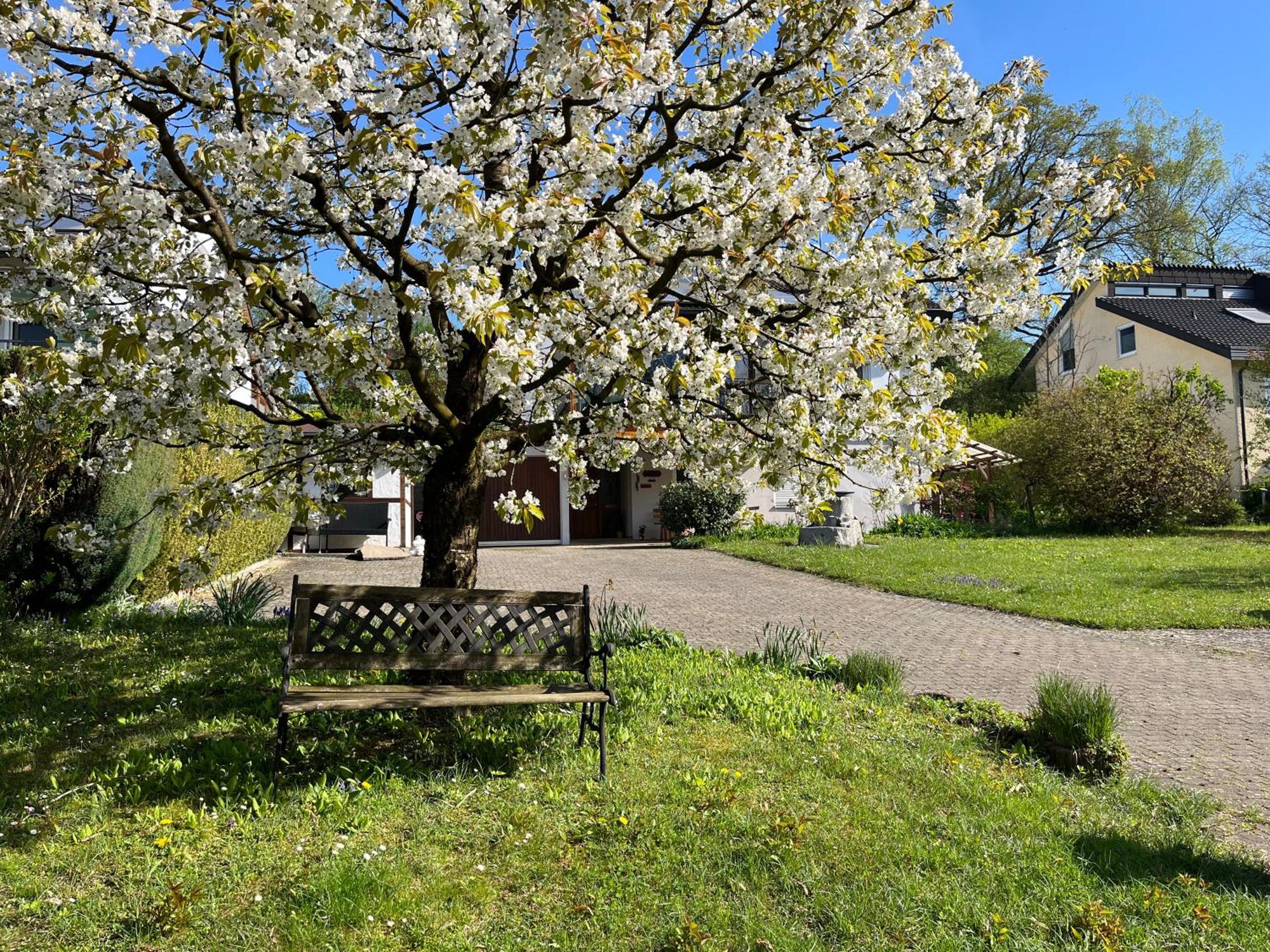 Uhldingen-Mühlhofen Ferienwohnung Am Kirschbaum מראה חיצוני תמונה
